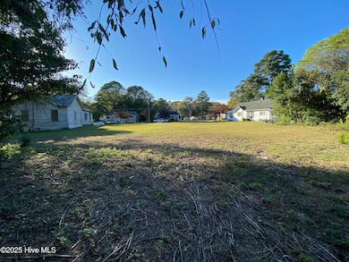 207 Fairview Ave SW, Wilson, NC 27893 - photo 2