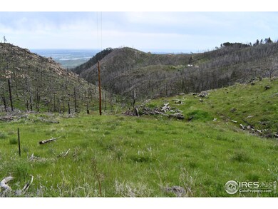 248 Saddle Ridge Rd, Bellvue, CO 80512 - photo 3