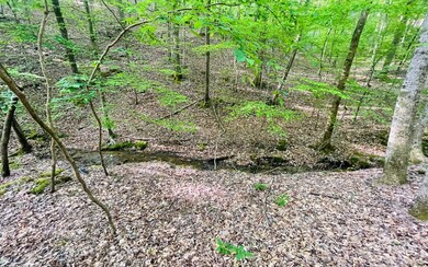 Additional View