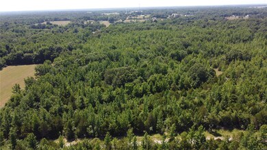 0 Highway 158, Harviell, MO 63945 - photo 7