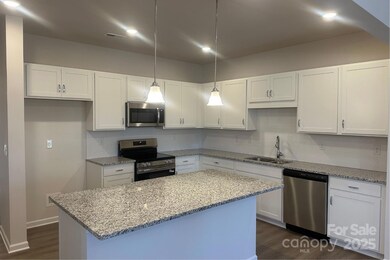 6009 Jasmine Branch Rd, Charlotte, NC 28216 - photo 3