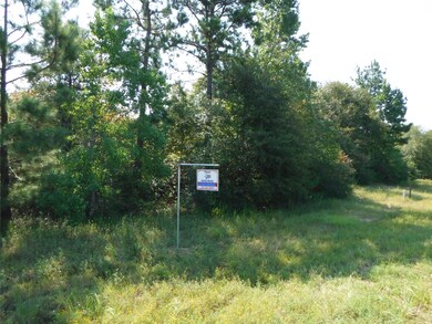 2064 White Buck Ct, Cleveland, TX 77328 - photo 4