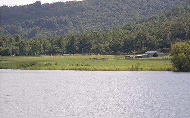 Additional View