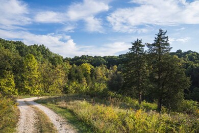 2145 Wildcat Hollow Rd, Nebo, IL 62355 - photo 6