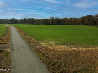 170 Hatchie-Station Rd, Mercer, TN 38392 - photo 2