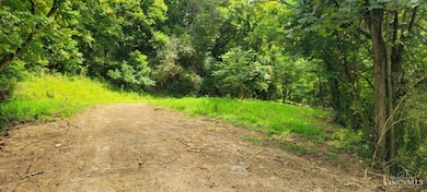 ac Laurel-Point Isabel Rd, Moscow, OH 45153 - photo 4