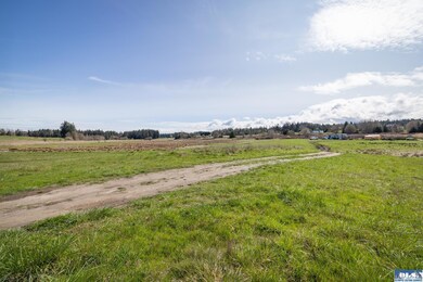 9999 Deer Park Rd, Port Angeles, WA 98362 - photo 4