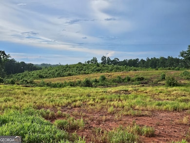 TRACT 2 THORNTO Thornton Dr, Elberton, GA 30635 - photo 2