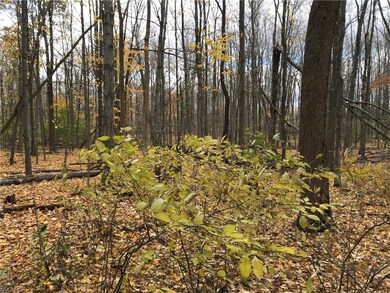 4 N Bissell Rd, Aurora, OH 44202 - photo 3