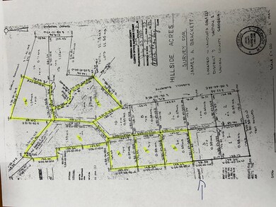 Lot 12 Tombstone Dr, Blairsville, GA 30512 - photo 4