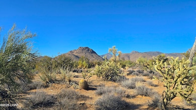 2b S Cattle Crossing Rd, Yucca, AZ 86438 - photo 2