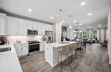 211 Steeple Bush Ln unit 10343, Schaumburg, IL 60193 - photo 3