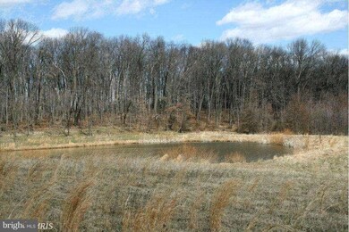 0 Purcellville Rd unit 1003404196, Purcellville, VA 20132 - photo 7