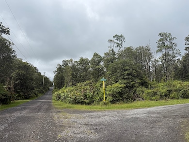 0 Apuakehau Rd unit 725837, Volcano, HI 96785 - photo 5