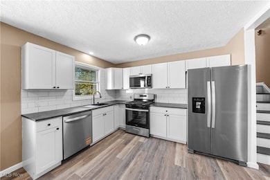 9130 Elm Cir, Windham, OH 44288 - photo 5