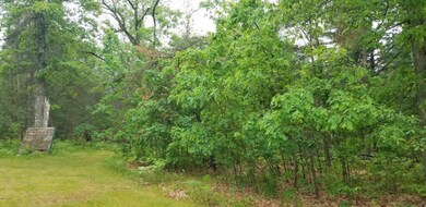 Yard View