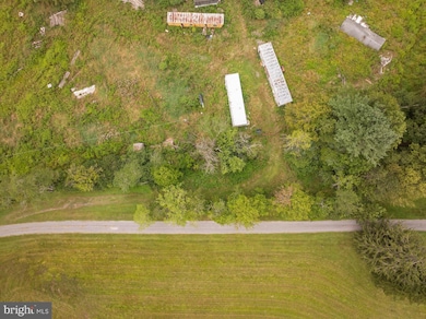 1055 Old Wilson Rd, Swanton, MD 21561 - photo 6