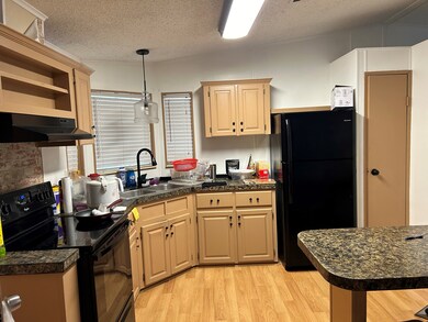 302 Choo Ln unit 466, Valrico, FL 33594 - photo 6