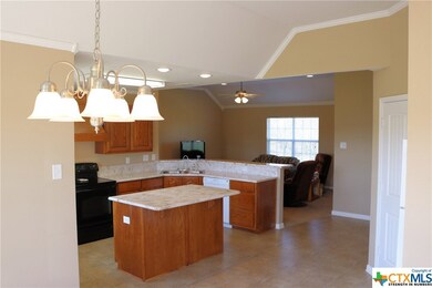 2746 Rock Rd, Troy, TX 76579 - photo 7