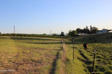 NKA Orchardvale Rd, Zillah, WA 98953 - photo 5