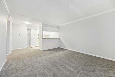 1645 W Main St unit 11, Houston, TX 77006 - photo 7