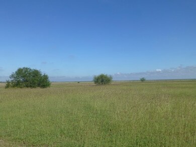 4270 River Ranch Cir, Robstown, TX 78380 - photo 4