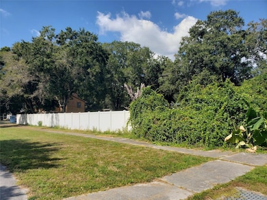 508 Dartmouth Ave E, Oldsmar, FL 34677 - photo 6