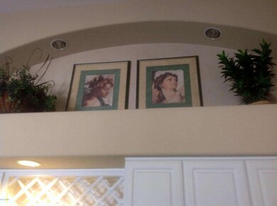 Arched Pot Shelves w/ Recessed Lighting