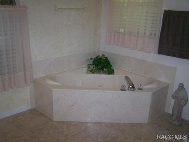 Jetted Tub in Master Bath