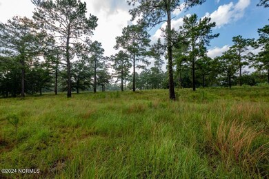 7515 Wallace Place SW, Sunset Beach, NC 28468 - photo 3