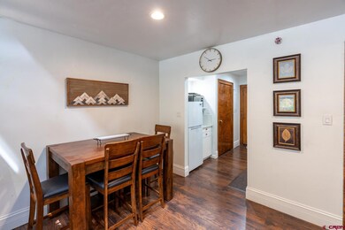 314 N Tamarron Dr unit 206, Durango, CO 81301 - photo 7