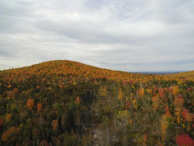 DJI_0228