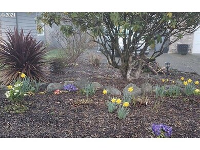 964 S Pine St, Canby, OR 97013 - photo 5