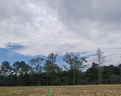 10915 Humble Gully Run Dr, Humble, TX 77396 - photo 6