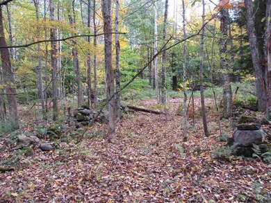 0 S Greenfield Rd unit 201911020, Greenfield Center, NY 12833 - photo 6