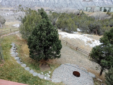 back yard and firepit