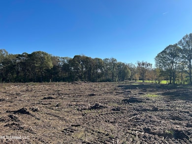 0 Warren Cook Rd, Mendenhall, MS 39114 - photo 2