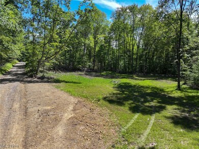 0 Co Road 3364 unit 4486126, Loudonville, OH 44842 - photo 5