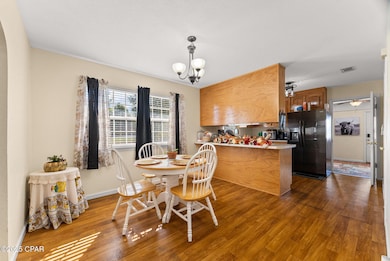 15790 NW Jeff Fowler Rd, Altha, FL 32421 - photo 5