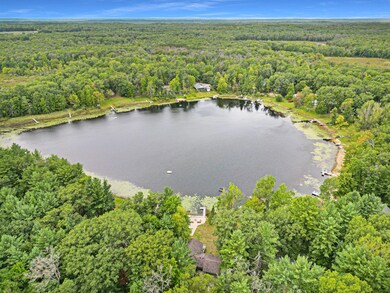 7579 N Centerline Rd, Brohman, MI 49312 - photo 6