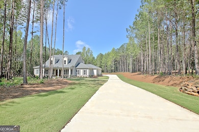 250 Bob Smith Rd, Sharpsburg, GA 30277 - photo 3