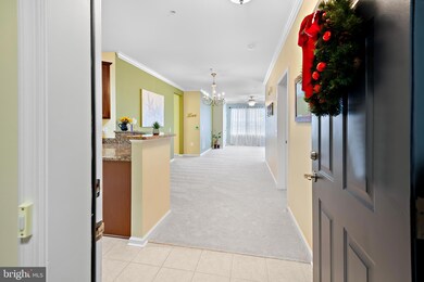 1403 Wigeon Way unit 303, Gambrills, MD 21054 - photo 4