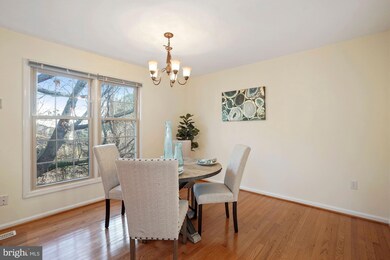 5000 Domain Place, Alexandria, VA 22311 - photo 5