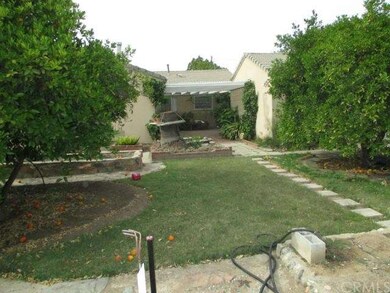 Back Yard with Mature Orange Trees