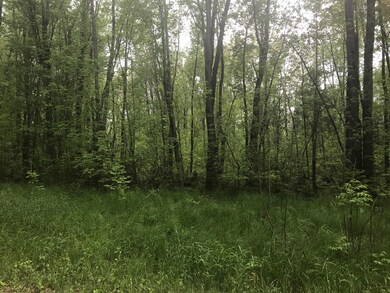 Land 2