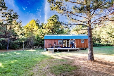 476 An County Road 414, Palestine, TX 75803 - photo 3