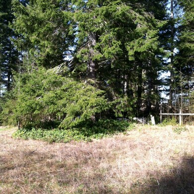 67 Badger Rd, Hoquiam, WA 98550 - photo 6