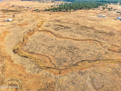 Lot 23 the Ranch at Alpine unit 23, Alpine, AZ 85920 - photo 5