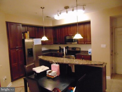 2256 Forest Ridge Terrace unit 1, Chesapeake Beach, MD 20732 - photo 6