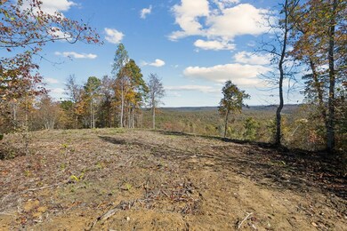 Tract 5 Sheep Ranch Rd, Robbins, TN 37852 - photo 4